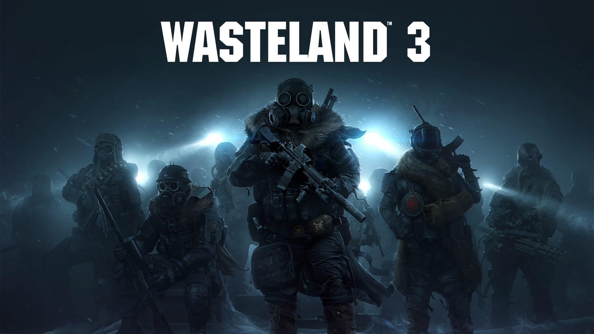 wasteland 3 multiplayer