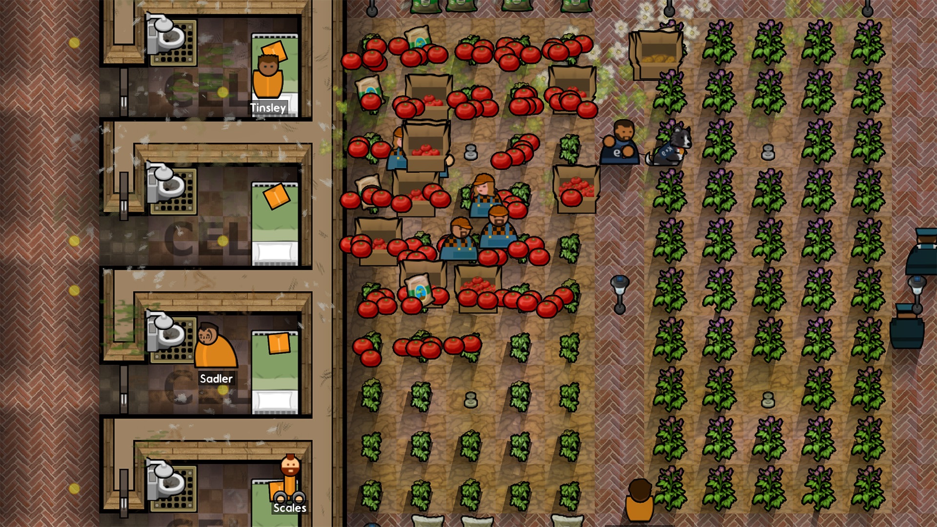 Prison architect гайд